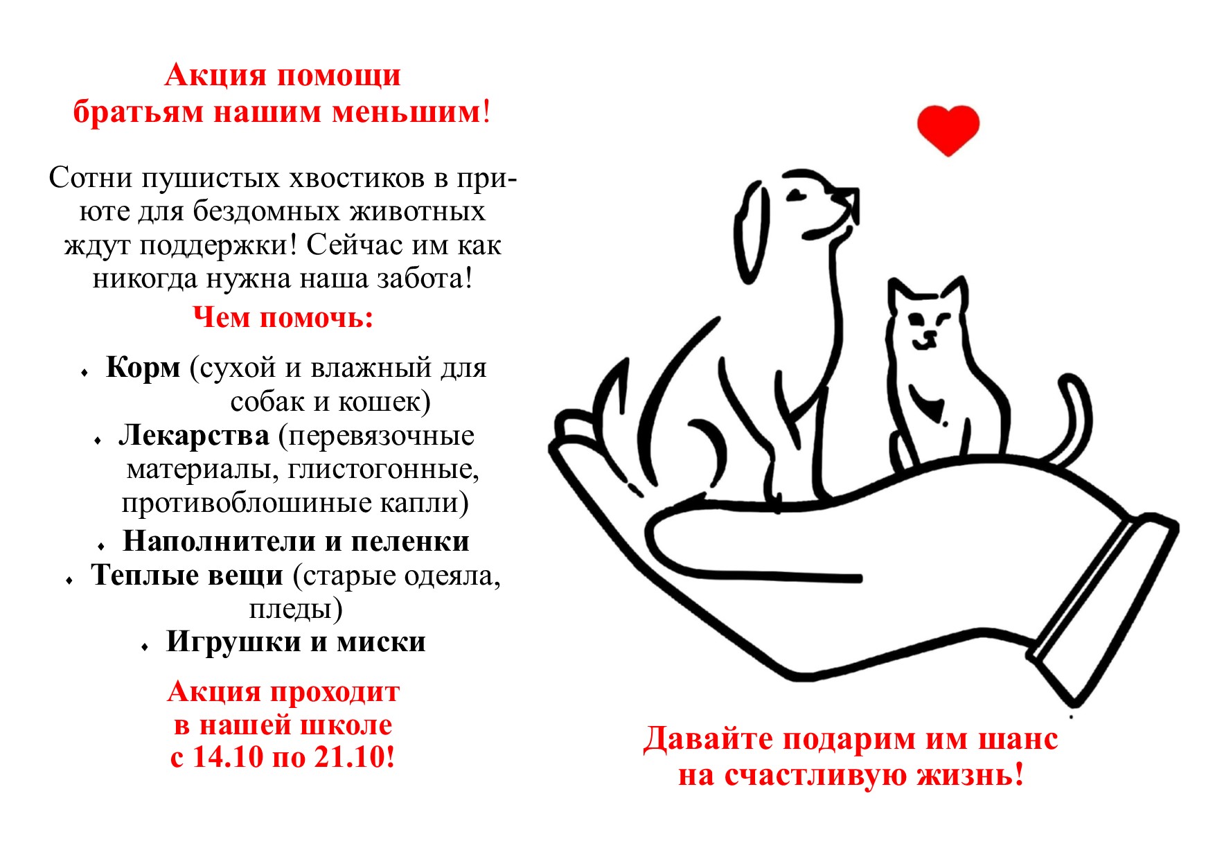 акция помощи животным